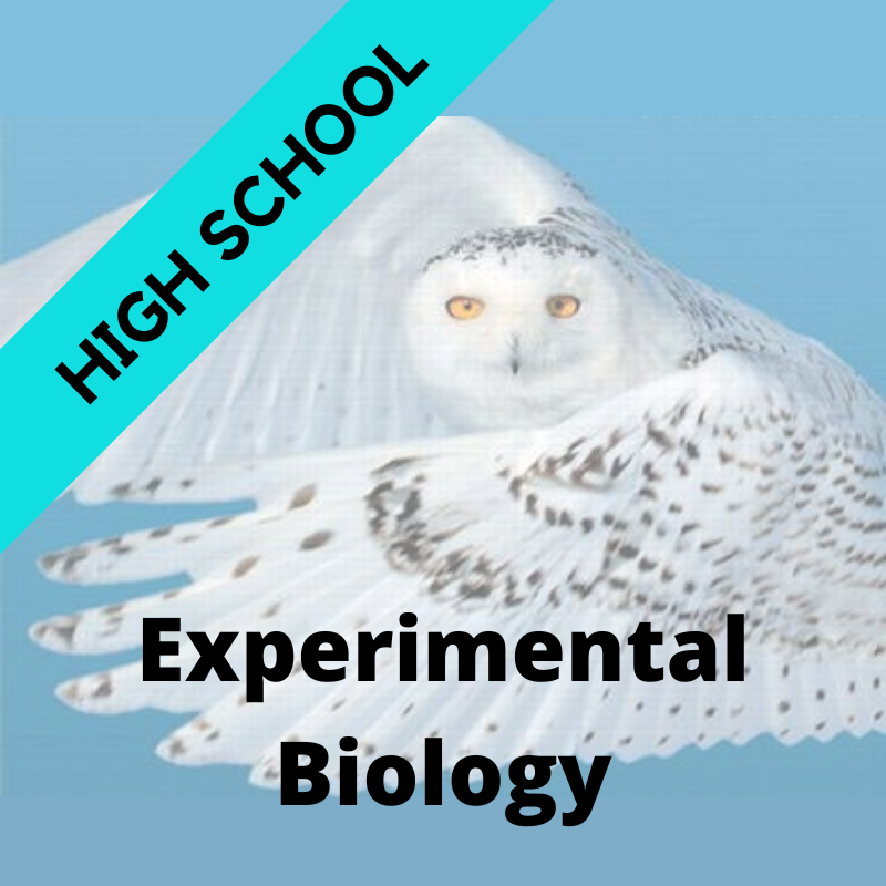 Experimental Biology