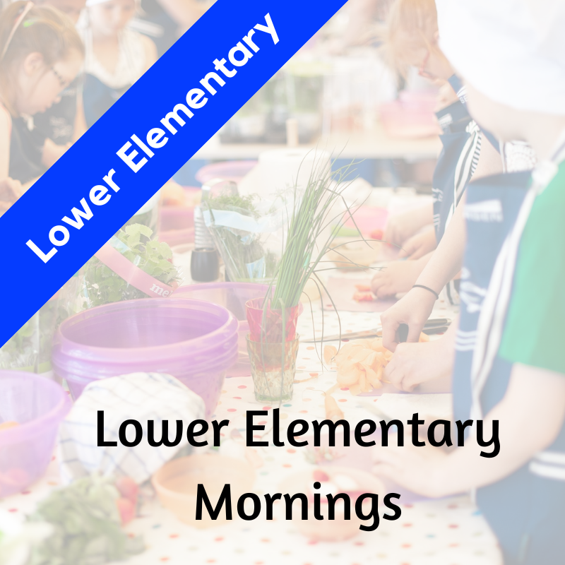 Lower Elementary Mornings